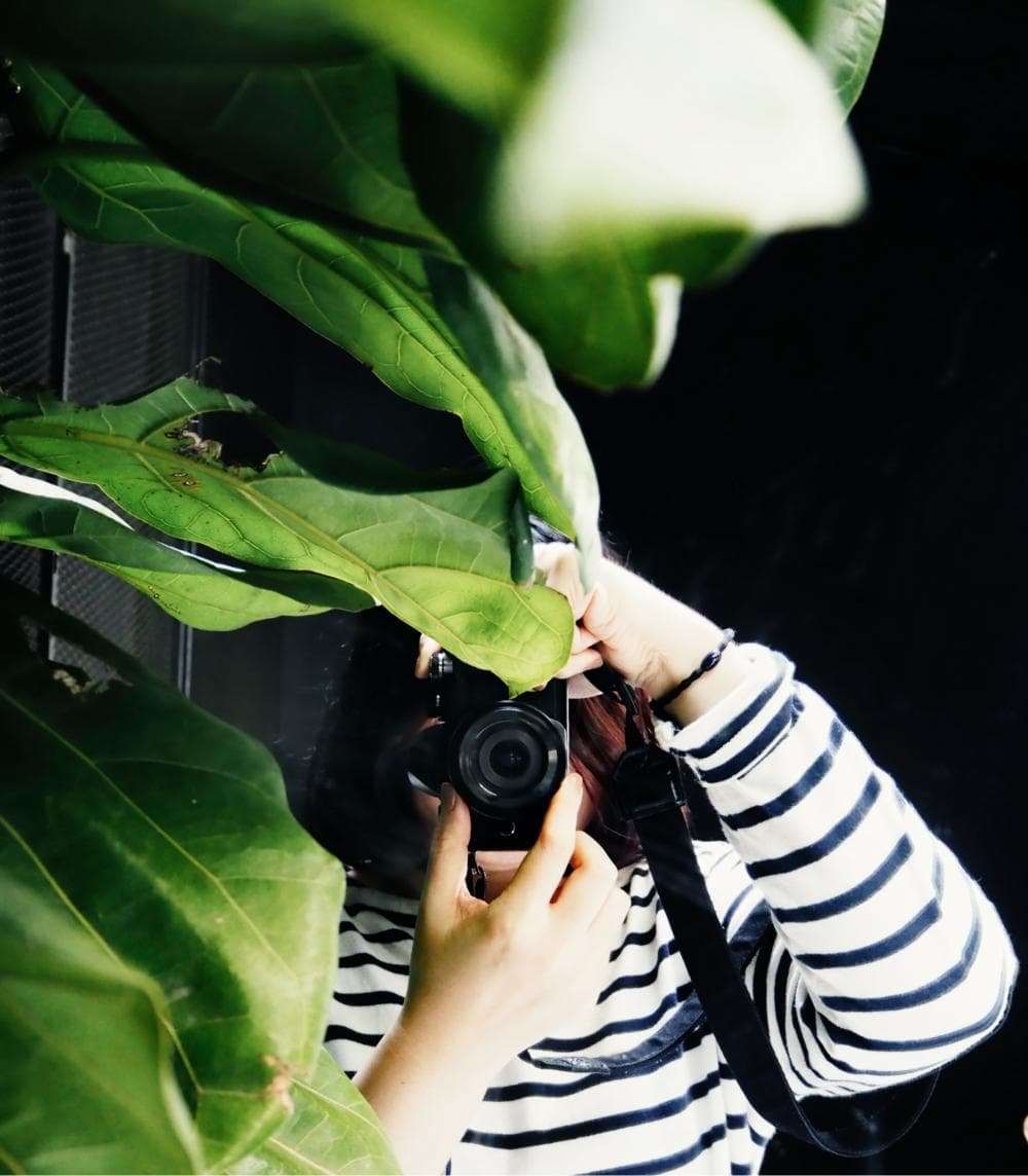 Photographer