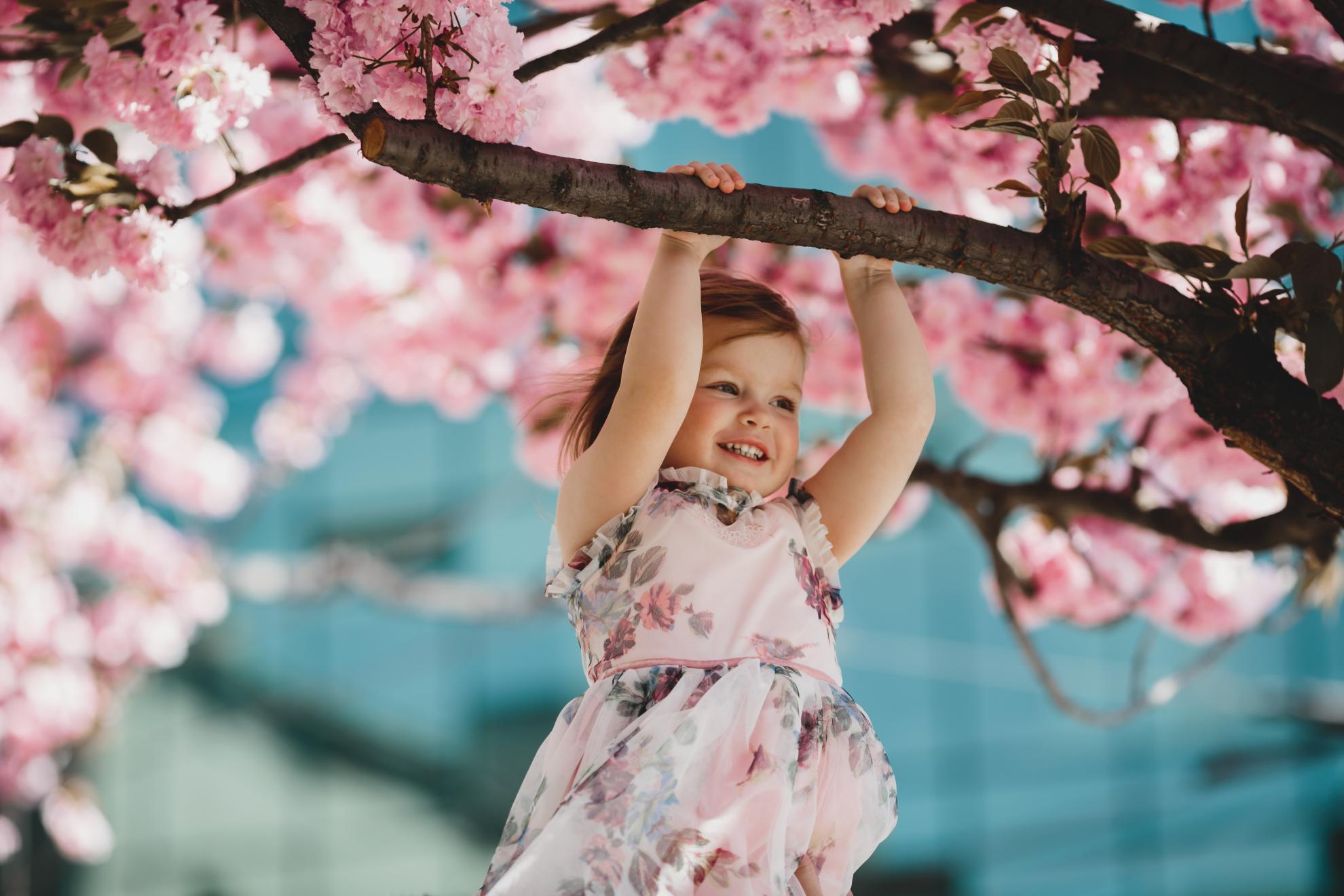 Little Blossom